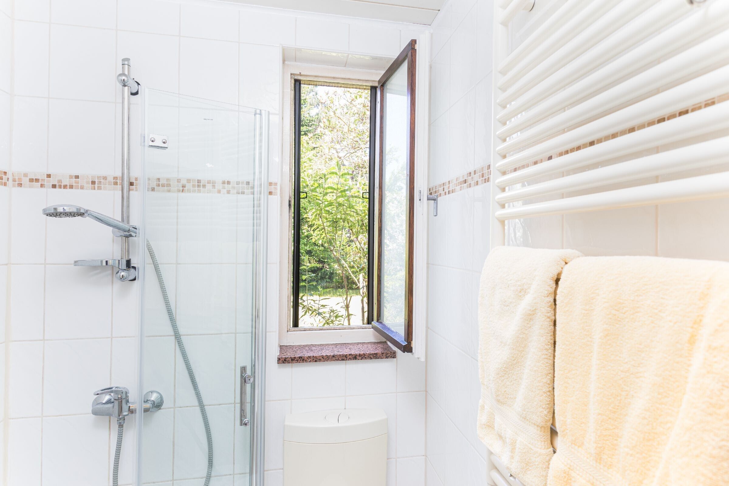 Shower, hair dryer, towels