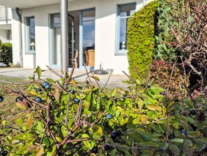 Exterior detail - Bellevue by Interhome (Zinnowitz)