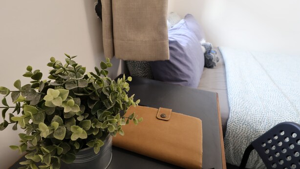 Ein kleiner Tisch mit einem Topfpflanzen und einer braunen Lederhandtasche.