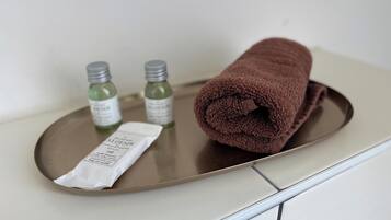 Shower, hair dryer, towels, toilet paper