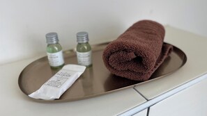Douche, sèche-cheveux, serviettes fournies, papier toilette