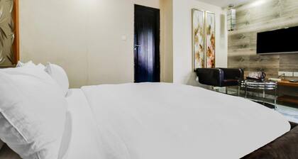 Palette Sapphire Star