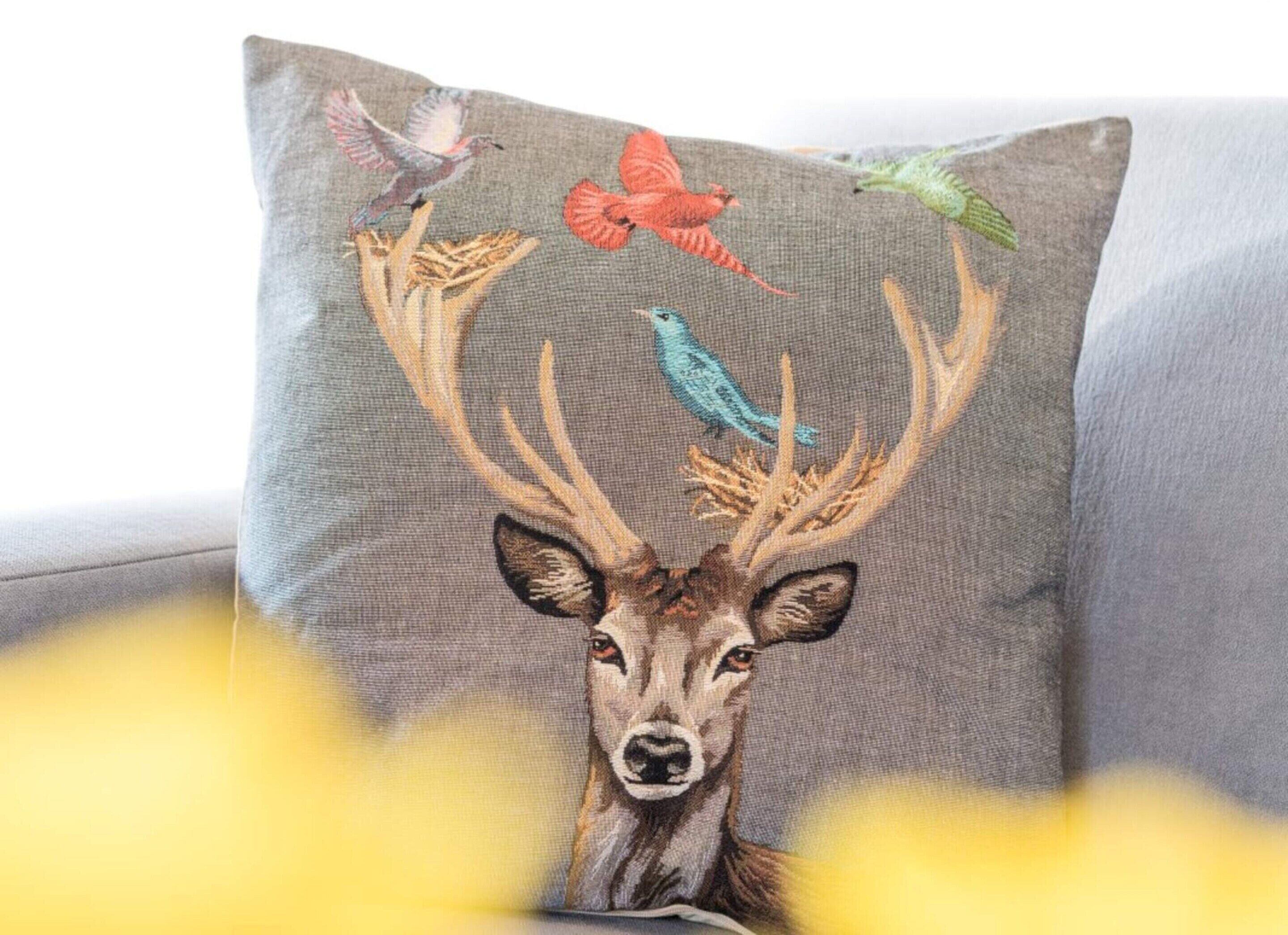 獨棟房屋 | 住宿內部