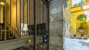 A metal gate with a keyhole and a lock, a stone wall, and a potted plant.