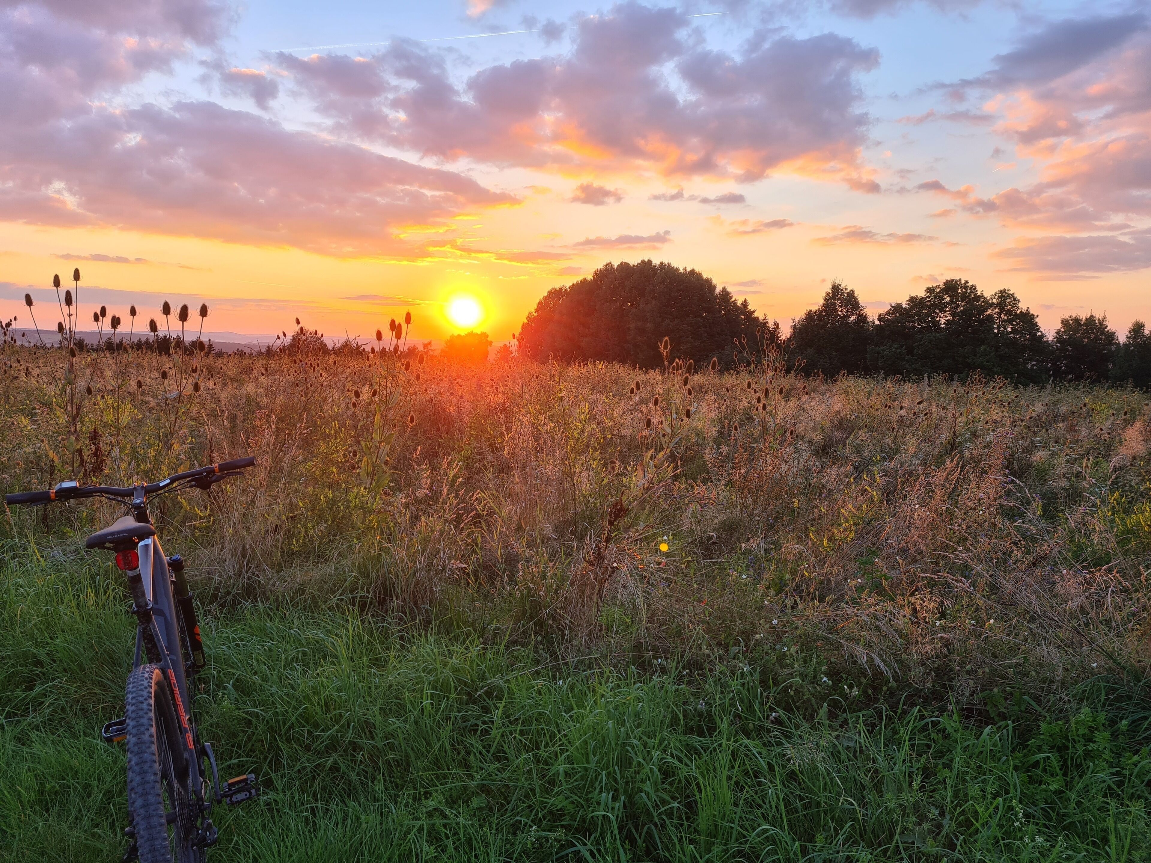 Een fiets geparkeerd in een veld, met een zonsondergang op de achtergrond.