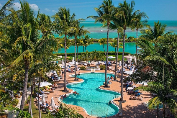 Dive into sparkling lagoon views framed by swaying palms.
