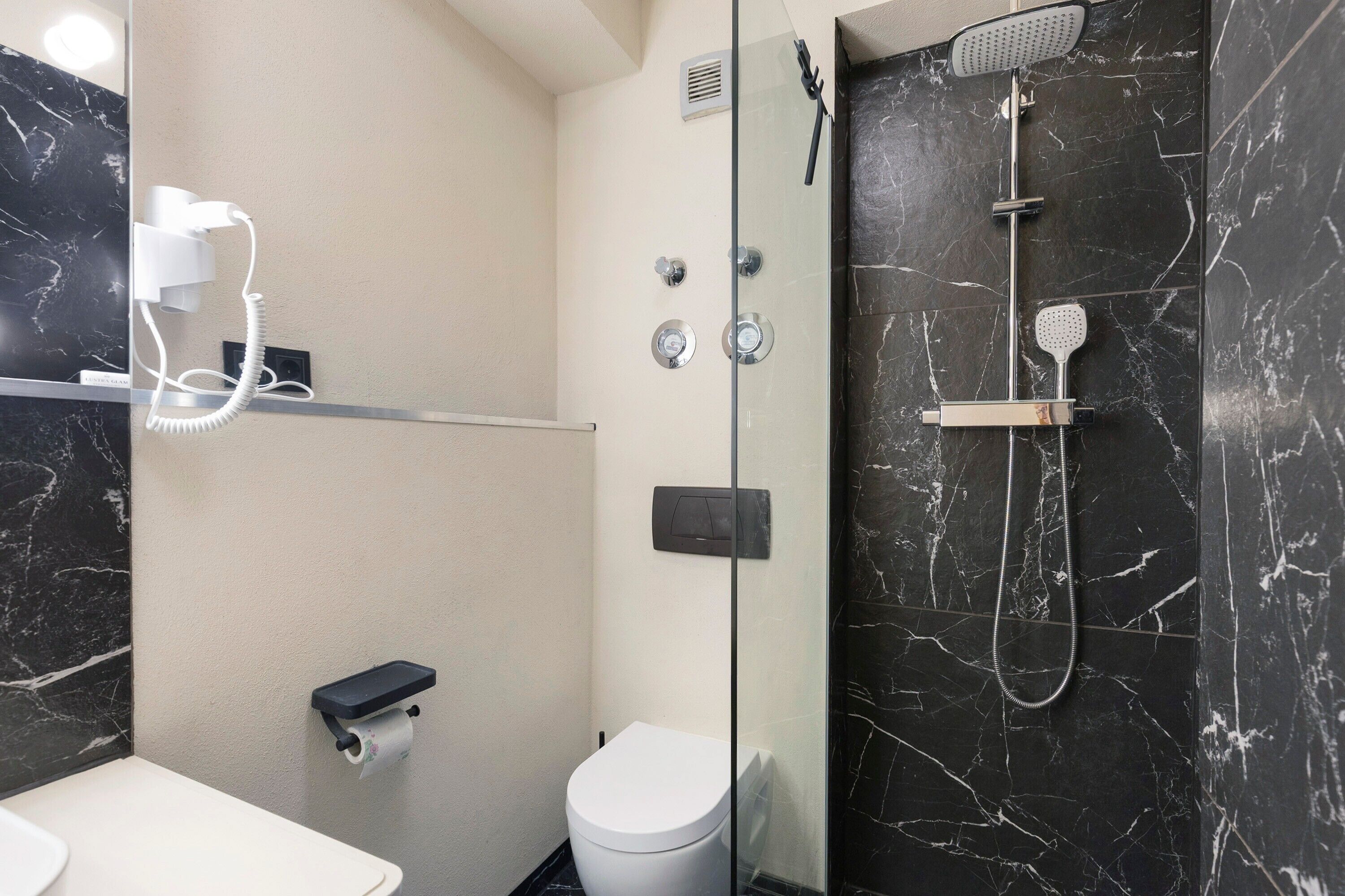 Shower, hair dryer, towels