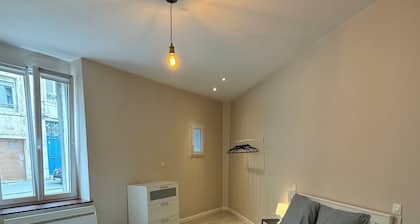 Charmant appartement Nancy centre