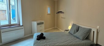 Charmant appartement Nancy centre