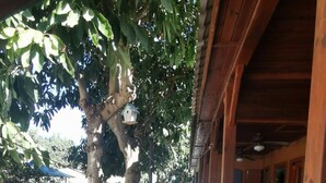 Un balcon en bois avec une rambarde en métal, un arbre et une balançoire.