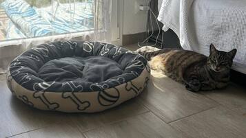 4 dormitorios, tabla de planchar con plancha, Internet y ropa de cama