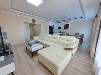 43 New Spacious Penthouse