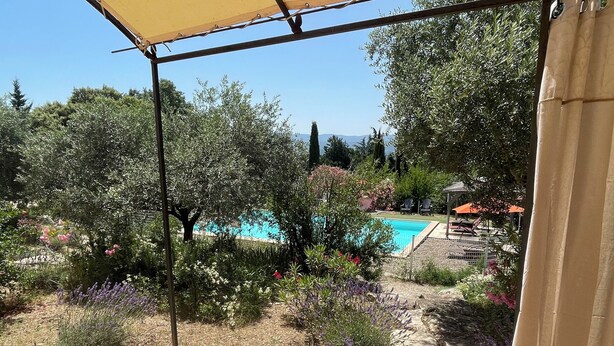 A poolside view with a clear blue pool, surrounded by lush greenery and flowering plants.