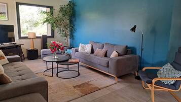 Télévision, cheminée, table de tennis de table, livres