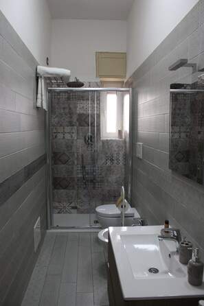 Shower, hair dryer, bidet, towels