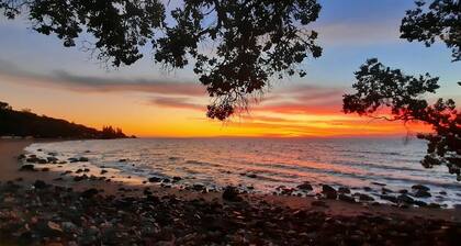 Beach Front Bach - Thornton Bay