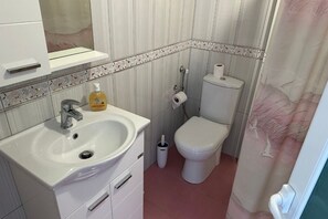 Ducha, secador de pelo, toallas, jabón