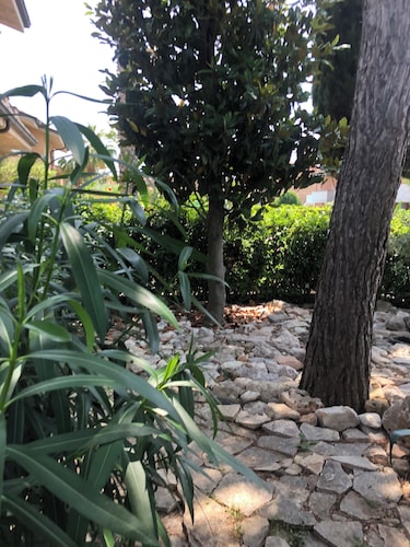 Vacation home Il Villino del Sole quiet and sunny for work or vacation