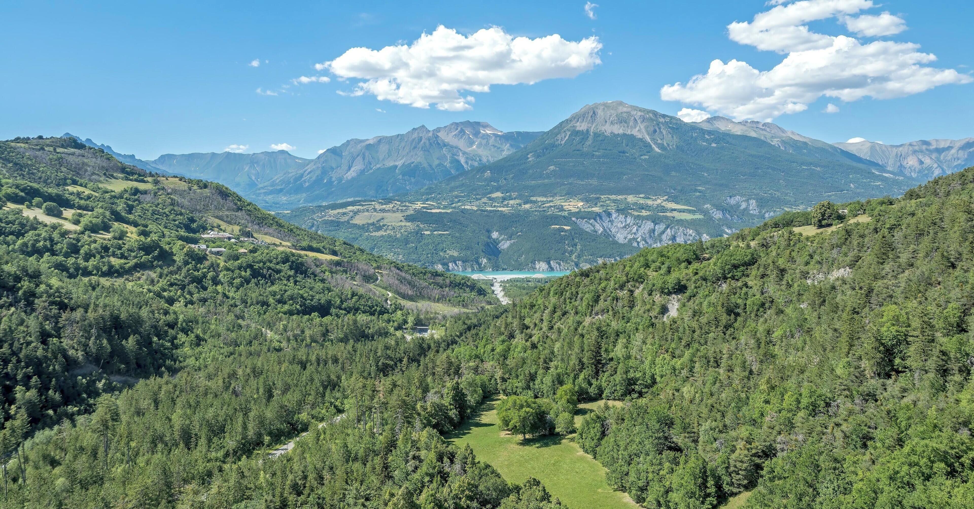 Paesaggio montuoso con fitte foreste, una valle e montagne in lontananza.