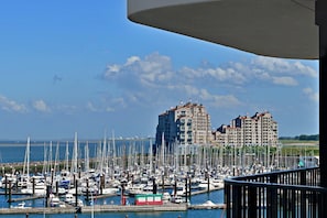 Un port de plaisance où sont amarrés de nombreux bateaux, un grand bâtiment doté de plusieurs balcons et un ciel dégagé.
