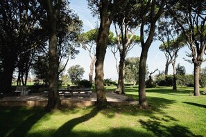 Imagen sin descripción, 2 de 10, botón