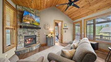 Smart TV, fireplace, music library, video library