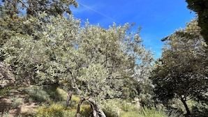 A natural landscape with trees, a stone wall, and a path. - Adorable house with  swimming pool and panoramic view (Villeneuve)