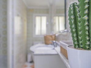 A bathroom with a white sink, a mirror, and a cactus plant in a white pot.
