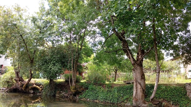 A tranquil garden with a pond, surrounded by lush greenery and trees. - 5-minute walk from Aigre, 60m2 ground floor apartment (Aigre)