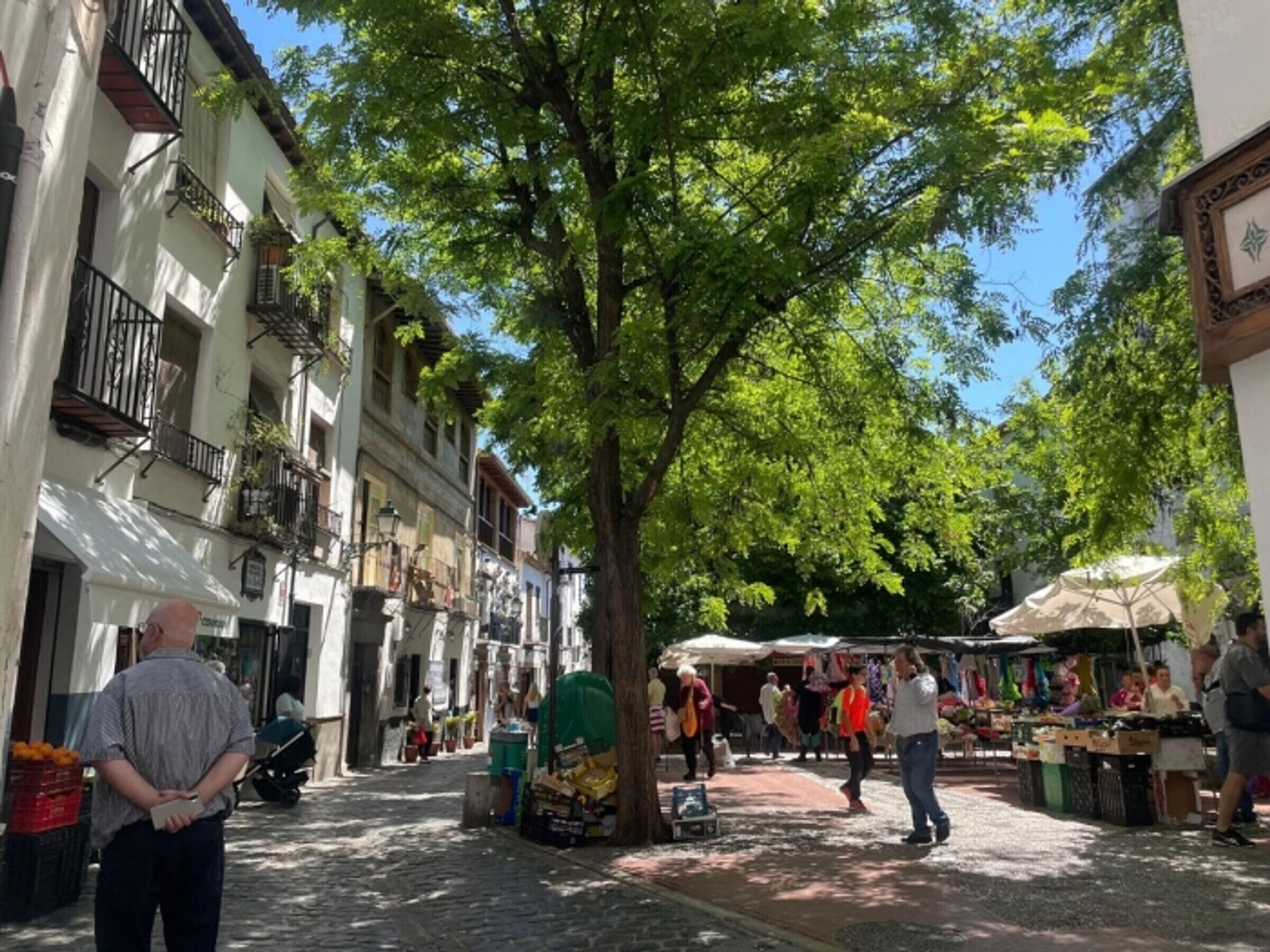 A cobblestone street lined with buildings, a tree, and outdoor market stalls.