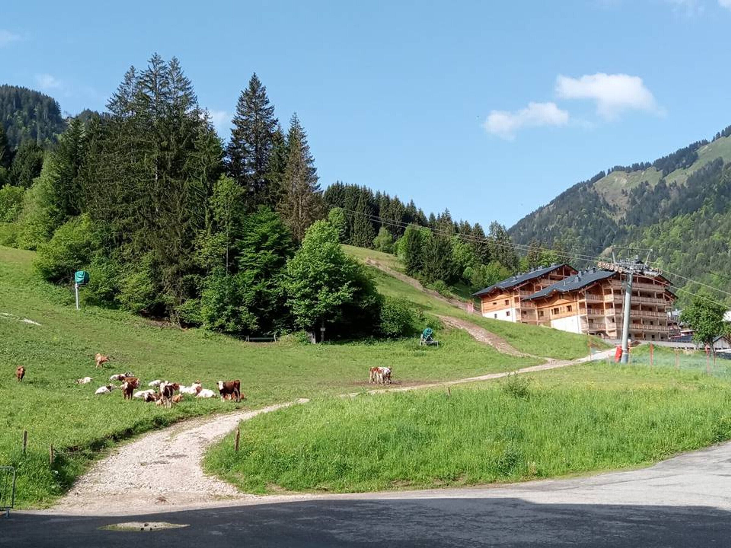 A rural landscape with a wooden building, a dirt path, and grazing cows.