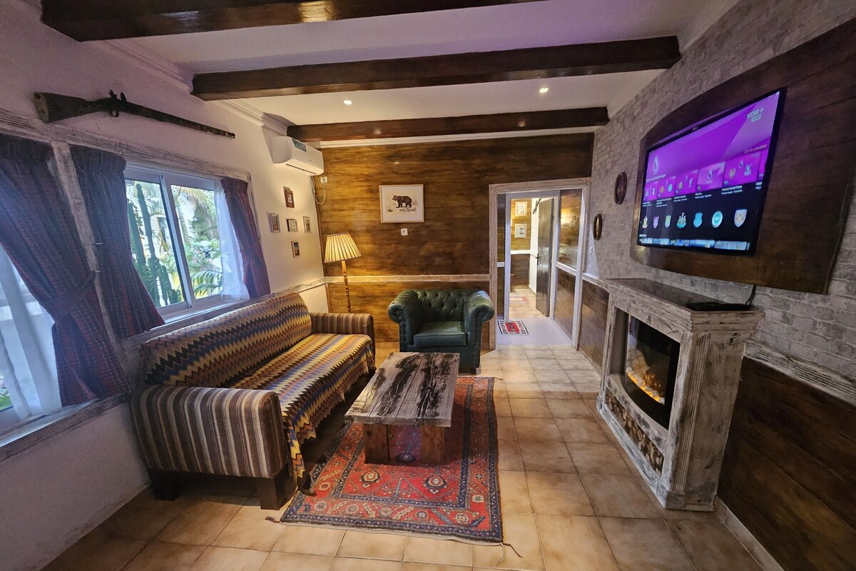 A living room with a sofa, a fireplace, a television, and a view of the outdoors.