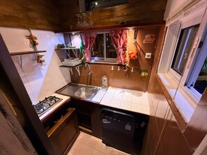 Cocina compacta con estufa a gas, lavamanos y lavavajillas.