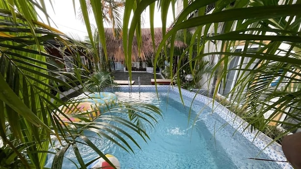 Una piscina rodeada de plantas tropicales.