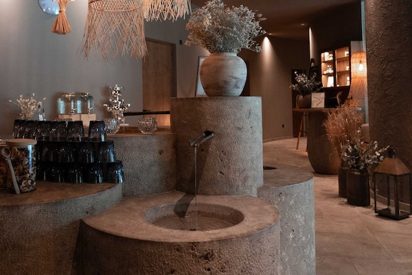 Sauna seca, sauna a vapor