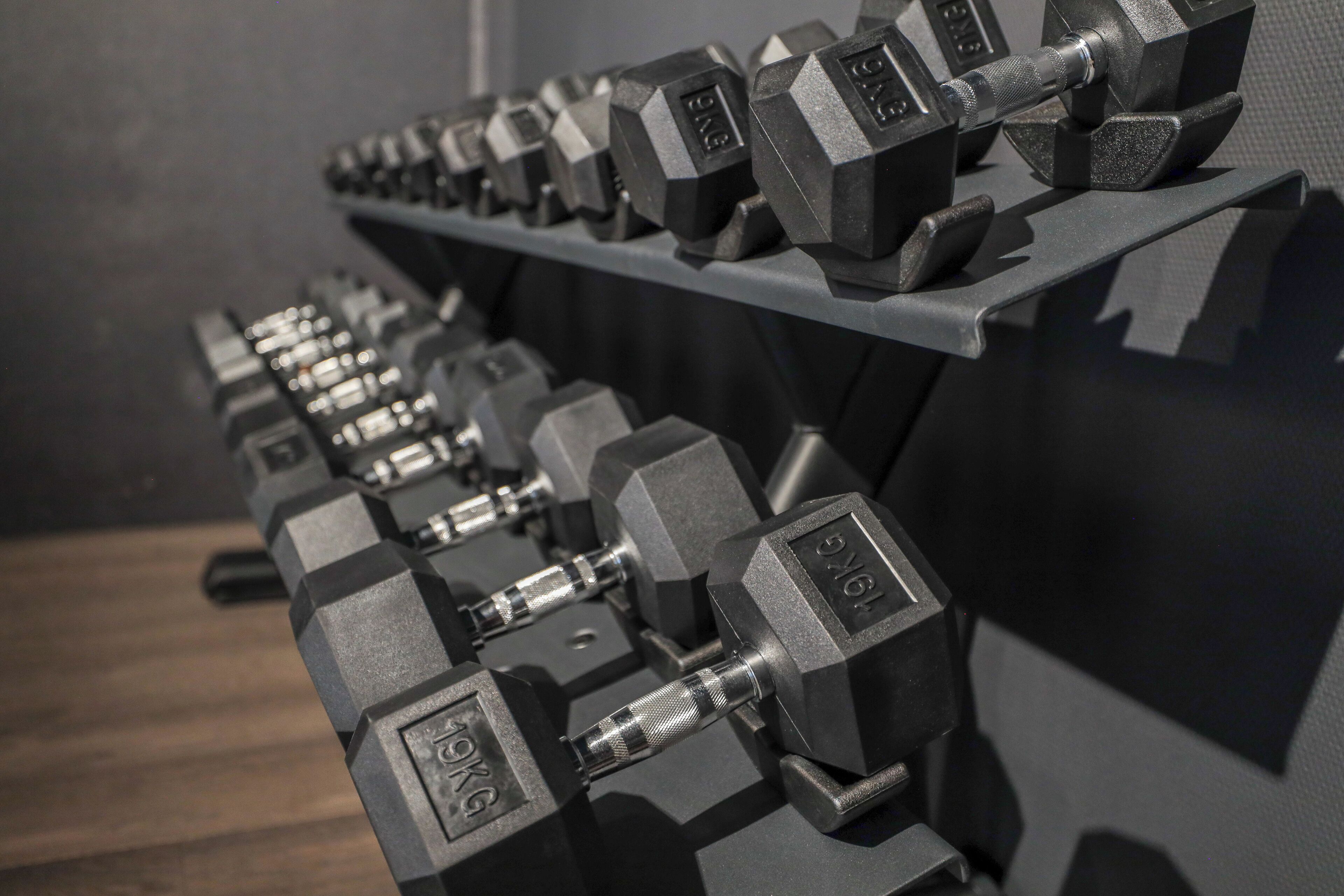 A row of black dumbbells on a rack in a gym.