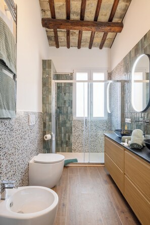 Shower, hair dryer, bidet, towels