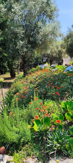 Property grounds - Holiday Home 'Casa Nova das Oliveiras' with Mountain View, Wi-Fi and Air Conditioning (Verim)