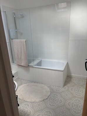 Shower, hair dryer, towels, toilet paper