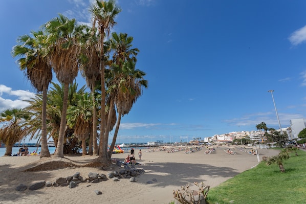 Une plage bordée de palmiers, un rivage sablonneux et un ciel bleu azur.