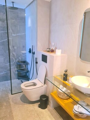 Douche, sèche-cheveux, serviettes fournies, papier toilette