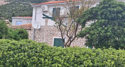 Villa Jagoda