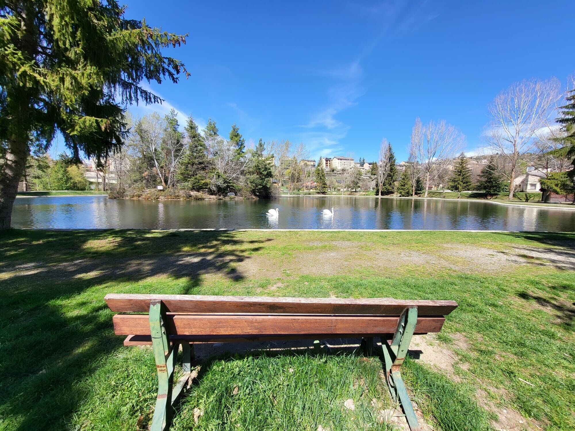 Un parque con un lago, un banco y árboles.