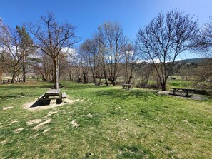 تناول الطعام بالخارج