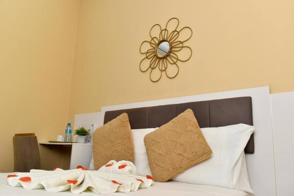 Une chambre d’hôtel avec un lit, deux oreillers, une couverture, un miroir fixé au mur et une petite étagère avec une plante et une bouteille.