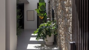 Een moderne gang met een stenen muur, potplanten en een dakraam.