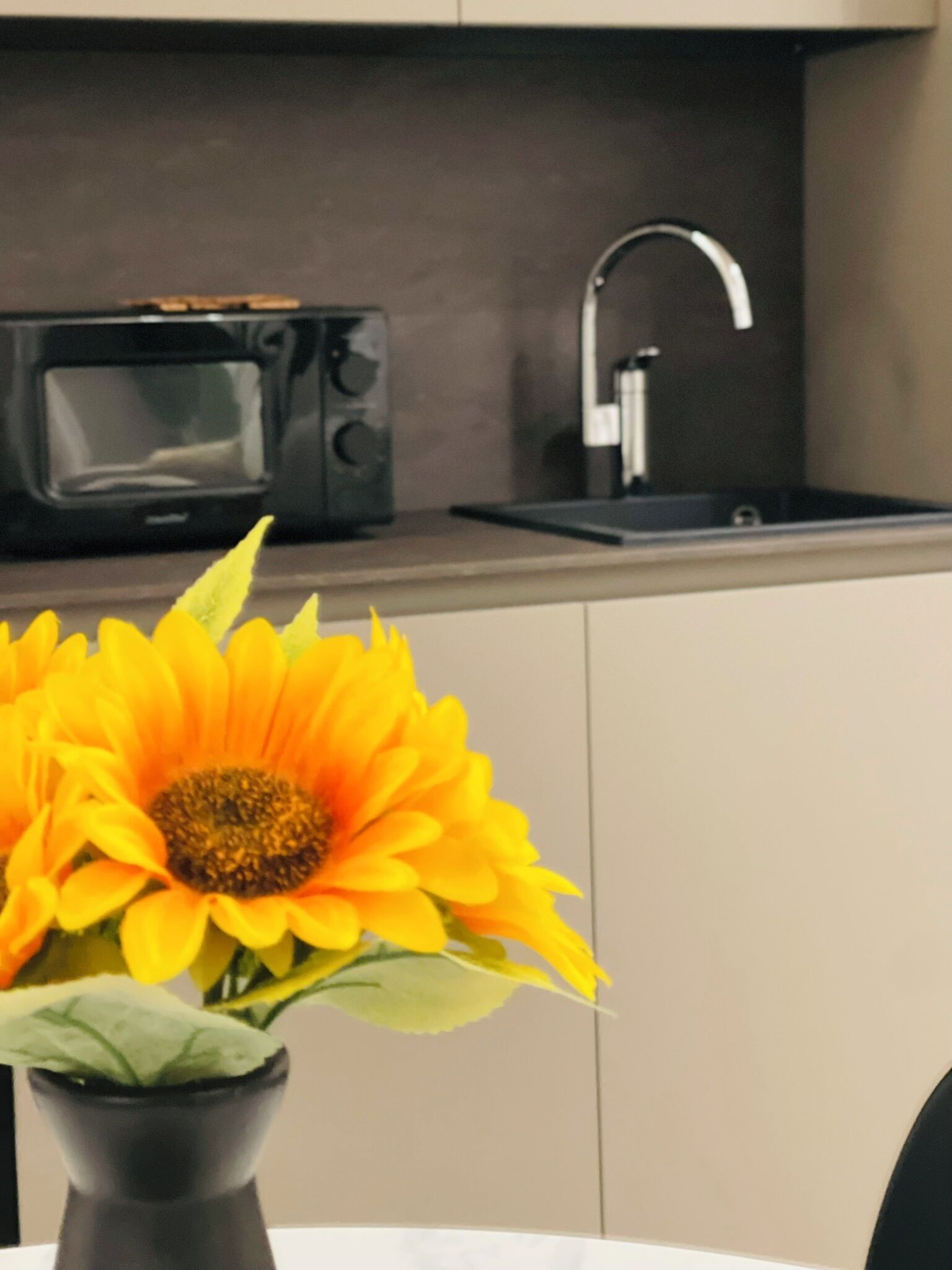 Private kitchen | Fridge, microwave, stovetop, cookware/dishes/utensils