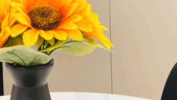 Bếp riêng | Tủ lạnh, lò vi sóng, bếp nấu, dụng cụ nấu nướng/bát dĩa/dao nĩa 