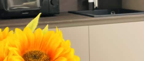 私人厨房 | 冰箱、微波炉、炉灶、厨具/餐具