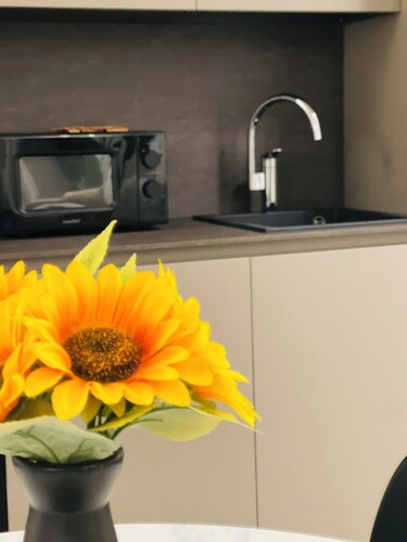 La Bella Modena Giardini Appartamenti